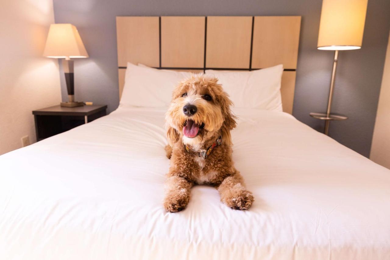 Sonesta Simply Suites Charlotte University エクステリア 写真